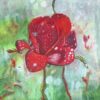 Red Rose