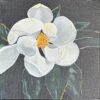 Jasmine flower